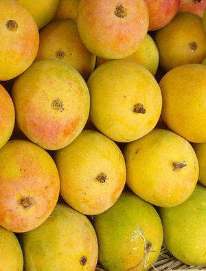 indian-originated-sweet-juicy-fresh-yellow-devgad-alphonso-mango-hapus–890
