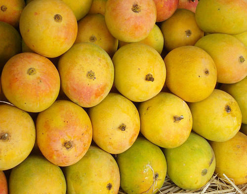 indian-originated-sweet-juicy-fresh-yellow-devgad-alphonso-mango-hapus–890