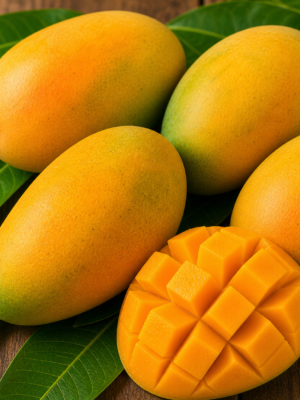 Salem Bangalora Mango